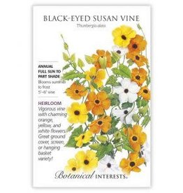 Seeds - Black-Eyed Susan Vine