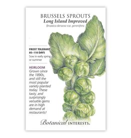 Seeds - Brussels Sprouts Long Island Imp