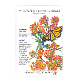 Seeds - Butterfly Flower Milkweed