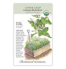 Seeds - Cover Crop Buckwheat Org, Large