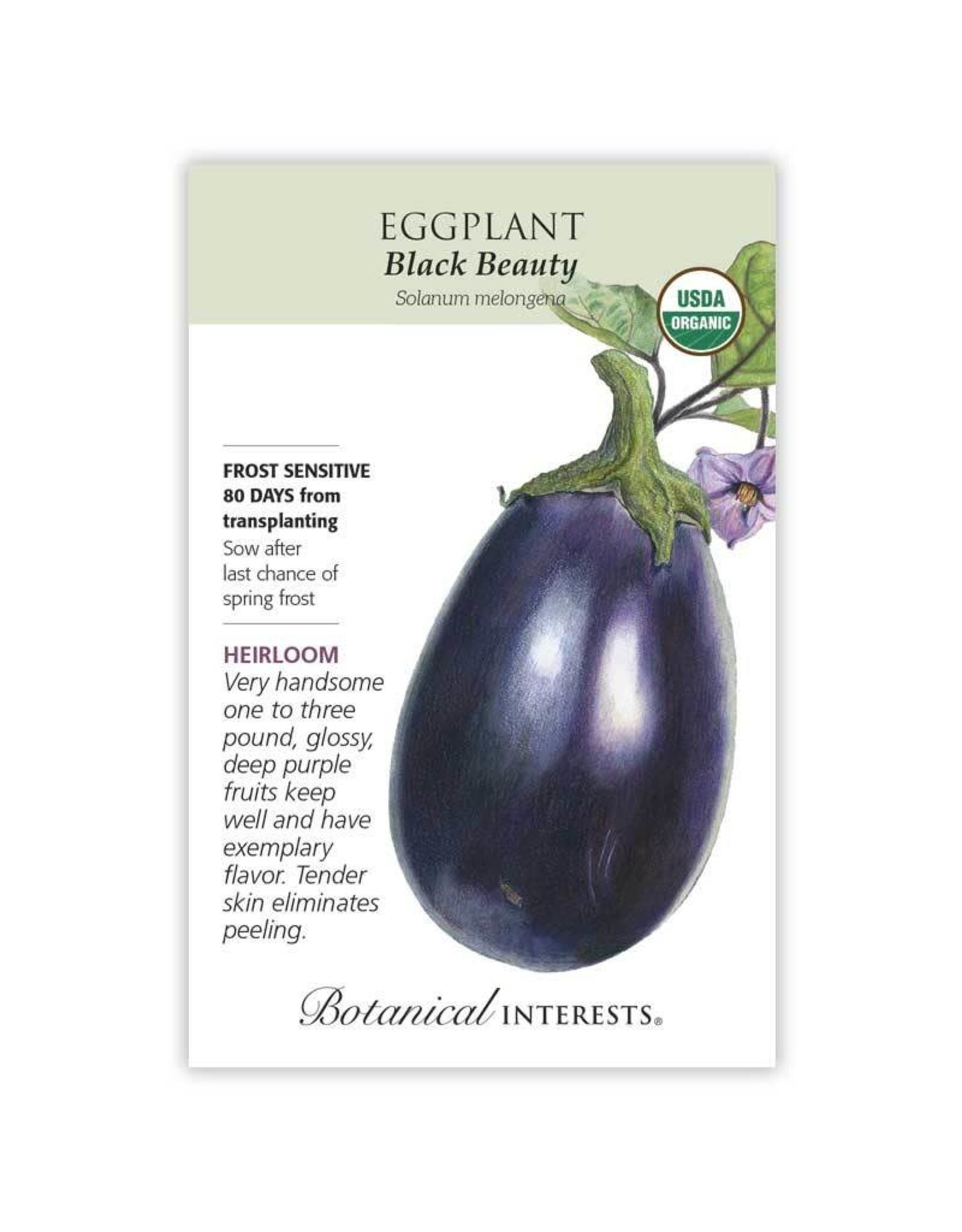 Seeds - Eggplant Black Beauty Org