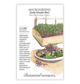 Seeds - Microgreens Beet Early Wonder, Large