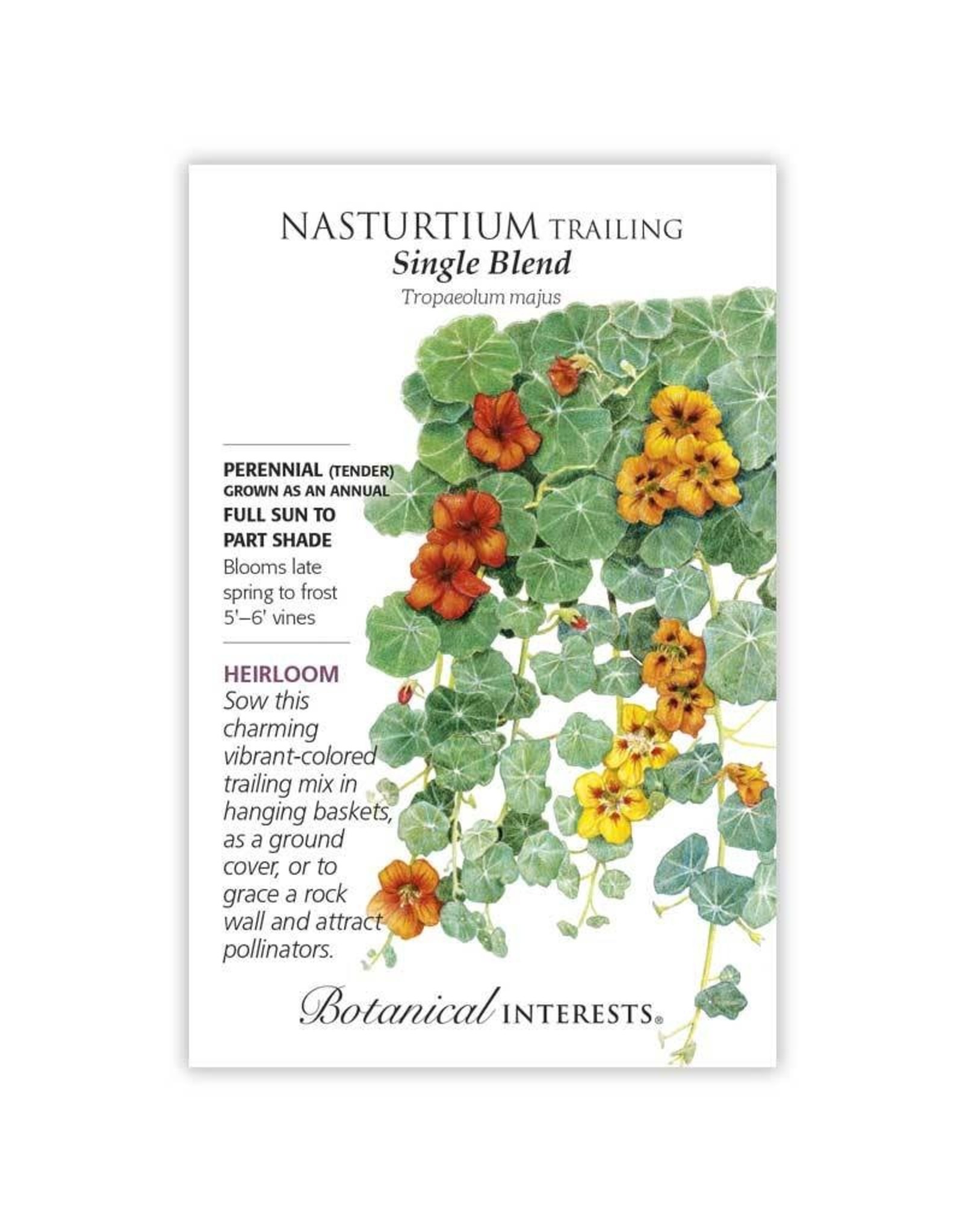 Seeds - Nasturtium Trailing Single Blend