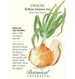 Seeds - Onion Bulb Yellow Granex Hybrid (SD)