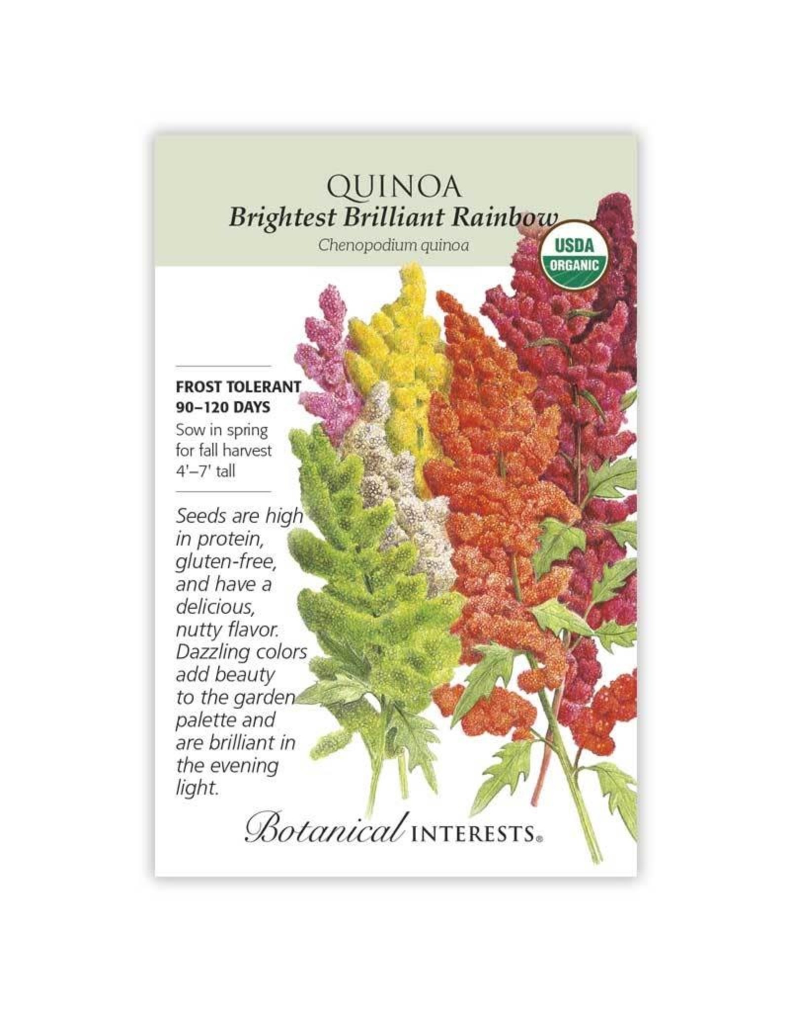 Seeds - Quinoa Brightest Rainbow Org