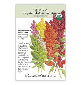 Seeds - Quinoa Brightest Rainbow Org