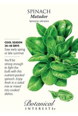 Spinach Matador