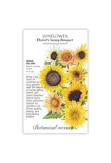 Seeds - Sunflower Florist's Bouquet Hybrid, Large