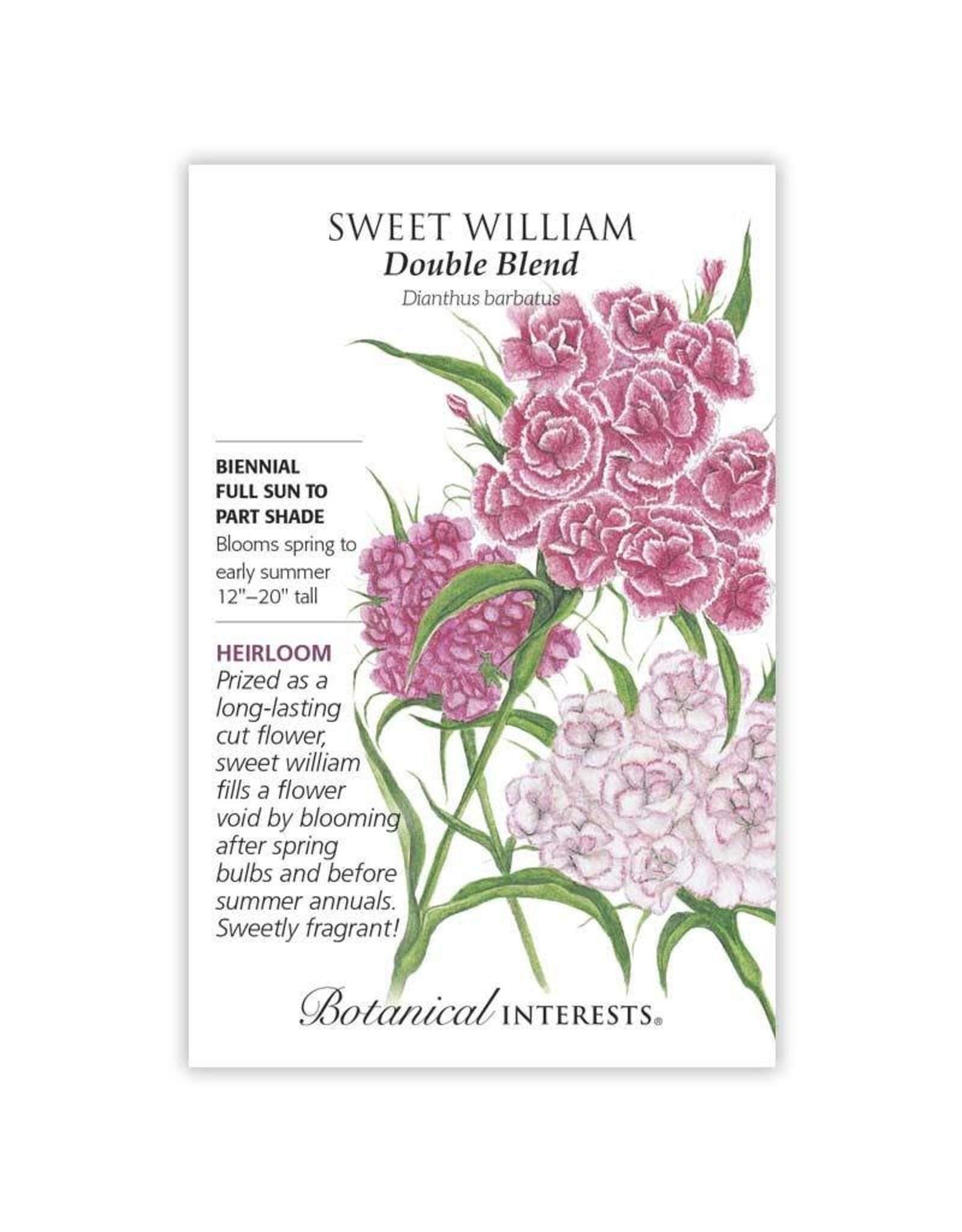 Sweet William Double Blend