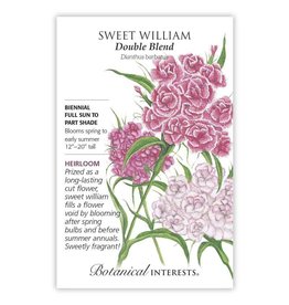 Seeds - Sweet William Double Blend