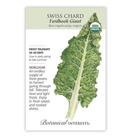Seeds - Swiss Chard Fordhook Giant Org