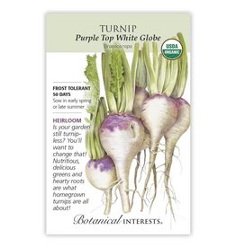 Seeds - Turnip Purple Top White Globe Org