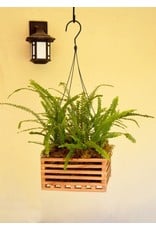8" Hanging Wooden Orchid Basket