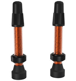 WTB WTB TCS Tubeless Valves (Pair) Aluminum 34mm Orange