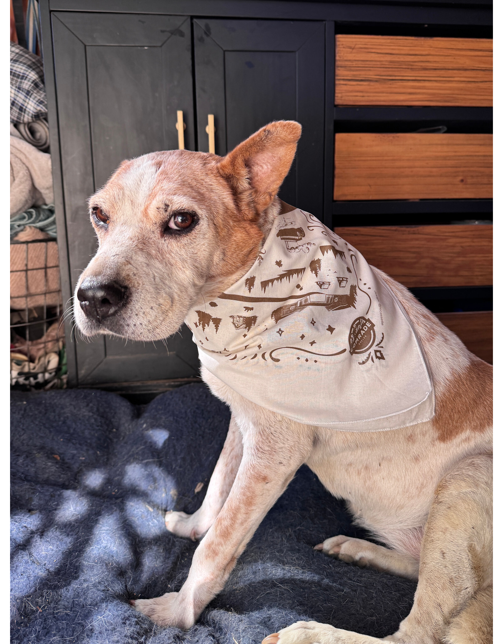 Bison Day Bandana