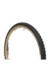 PANARACER SimWorks The Homage Tire
