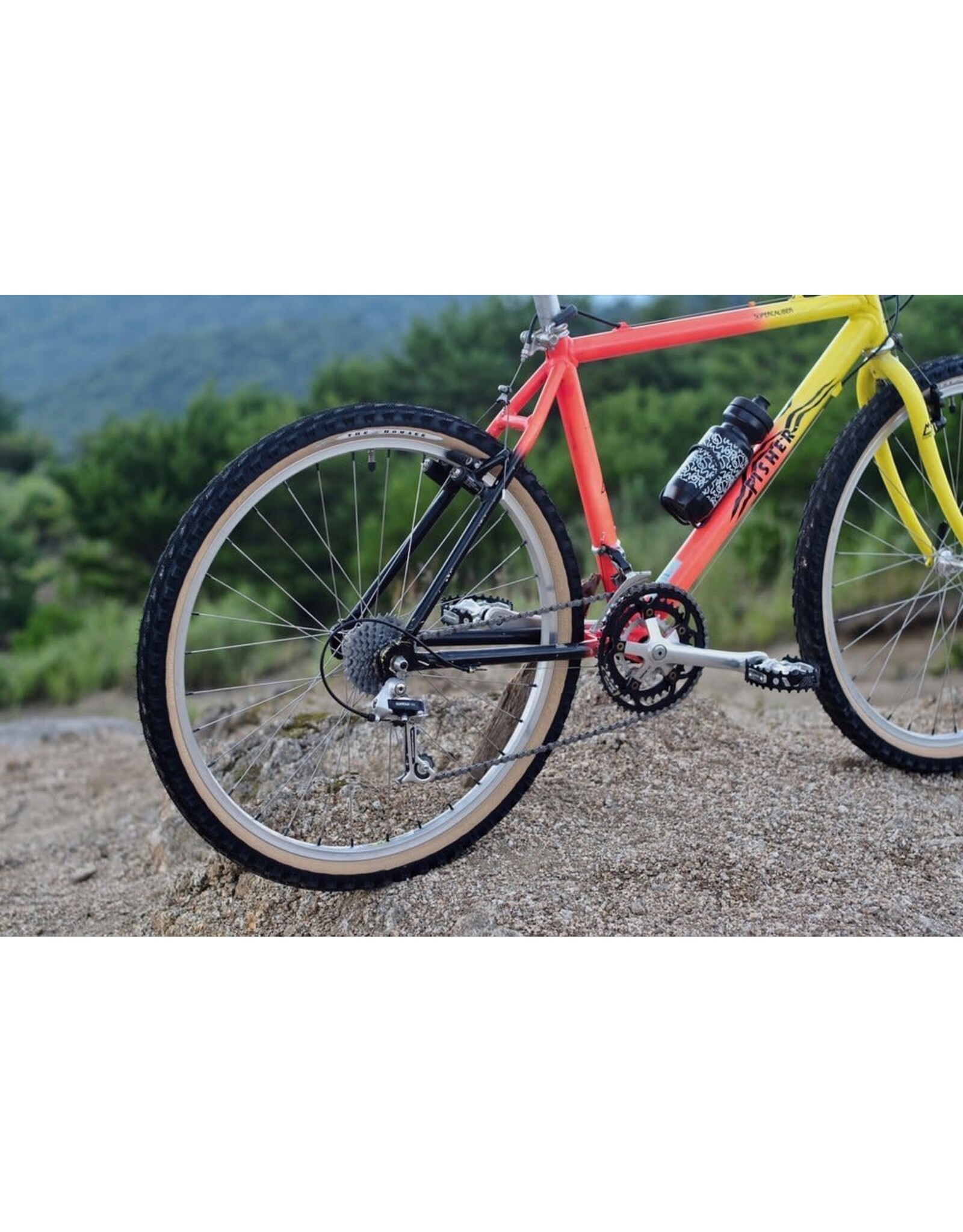 PANARACER SimWorks The Homage Tire