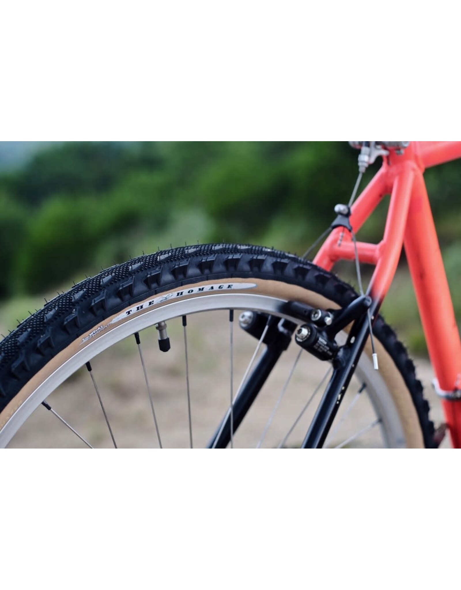 PANARACER SimWorks The Homage Tire