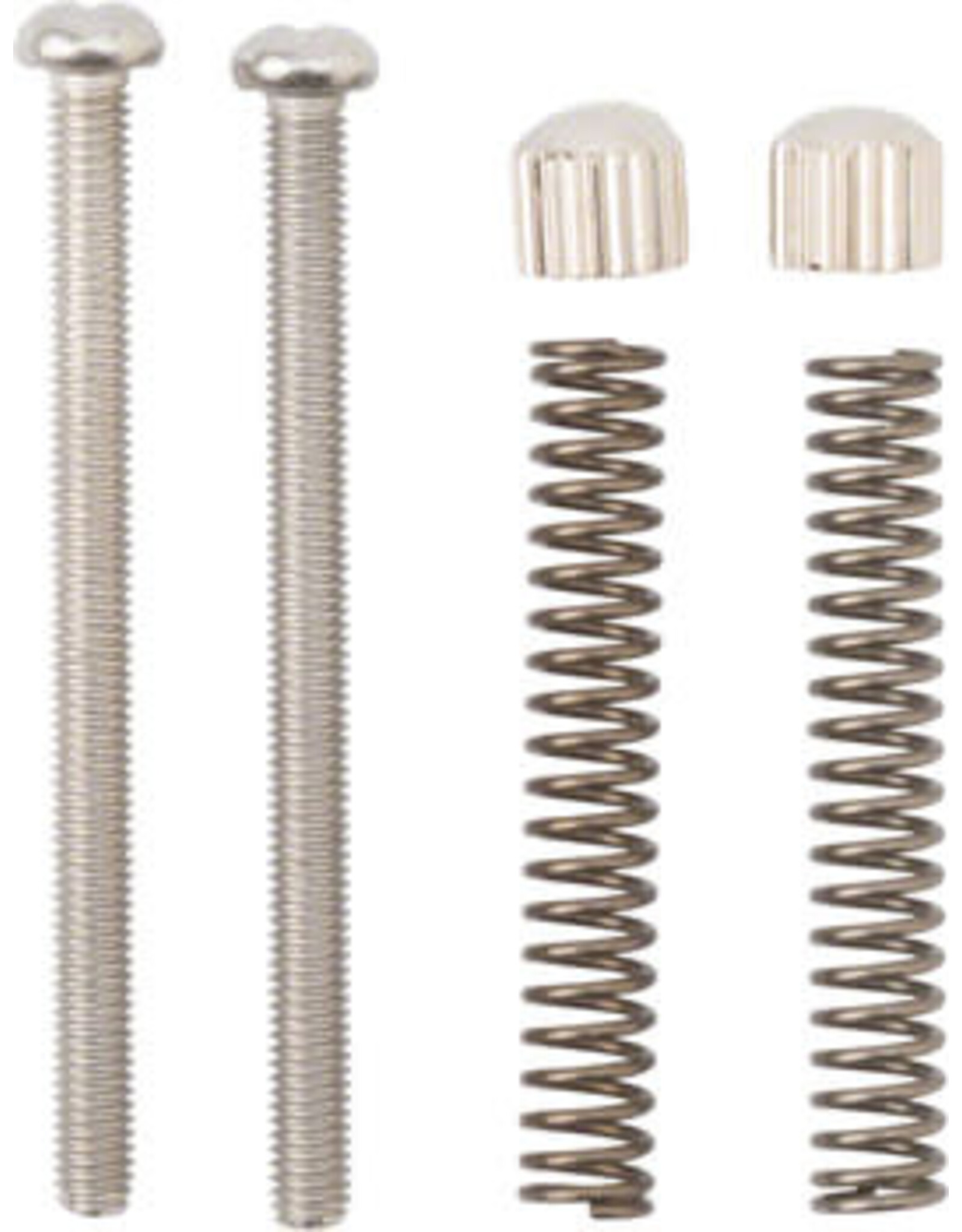Surly Surly Cross Check Frame Replacement Dropout Screws Pair