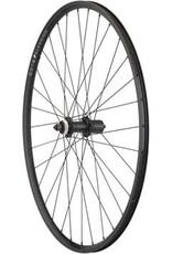 Quality Wheels Quality Wheels Value Double Wall Series Rim+Disc Rear Rear Wheel - 700, QR x 135mm, Center-Lock, HG 10, Black, Clincher SV