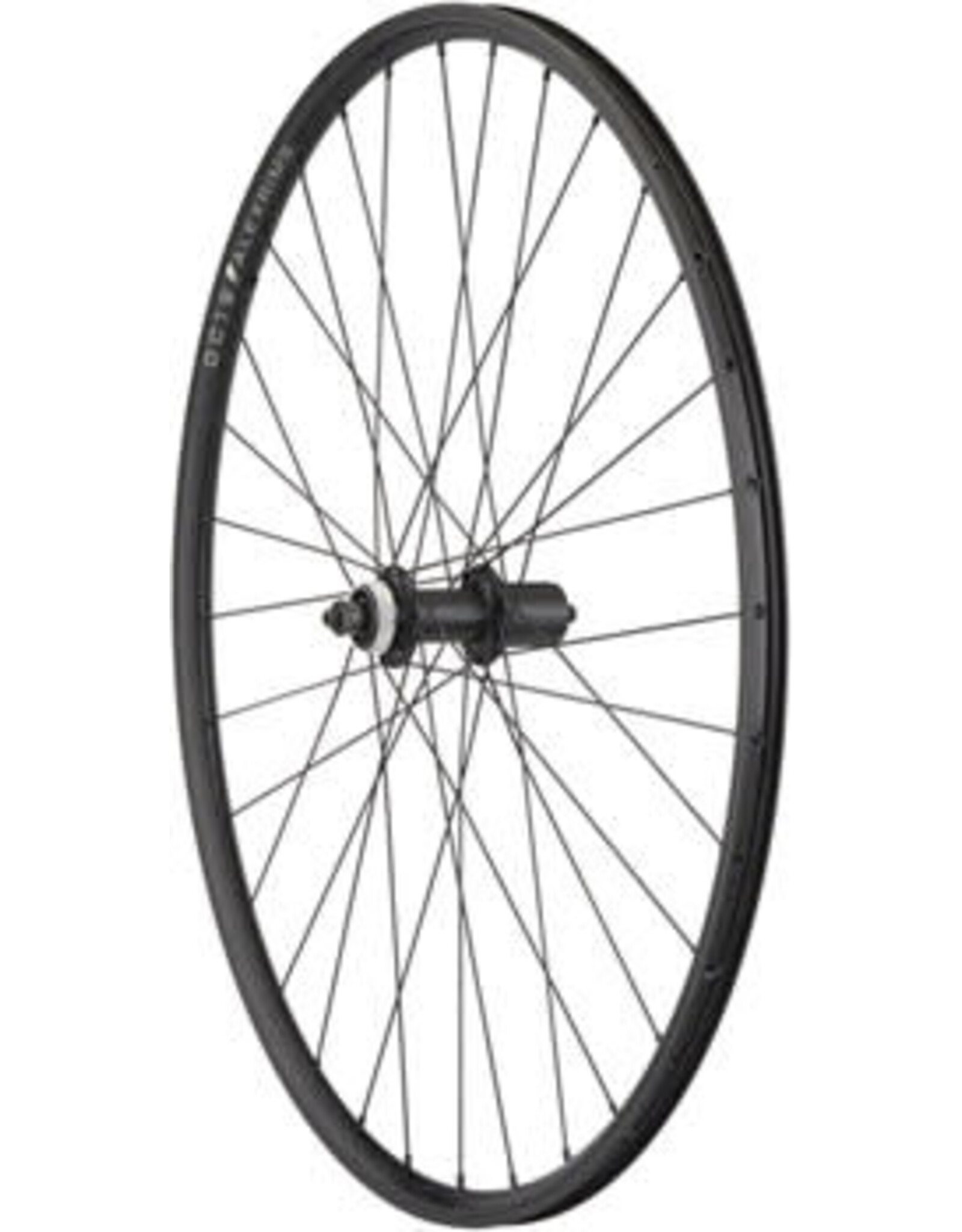 Quality Wheels Quality Wheels Value Double Wall Series Rim+Disc Rear Rear Wheel - 700, QR x 135mm, Center-Lock, HG 10, Black, Clincher SV