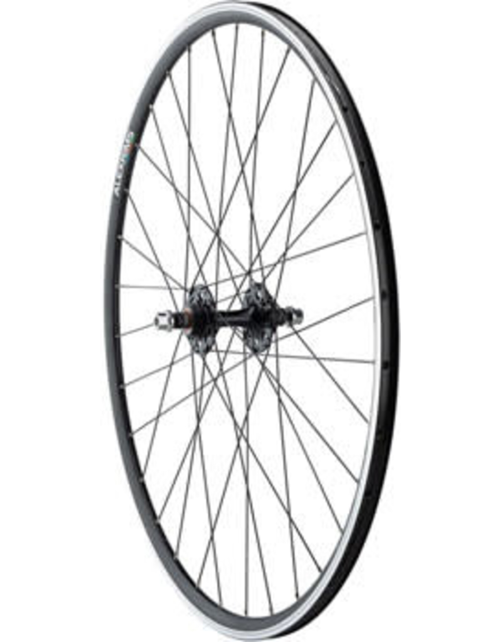Quality Wheels Quality Wheels Value Double Wall Series Track Rear Wheel - 700, 10 x 1 x 120mm, Rim Brake, Fixed/Freewheel, Black, Clincher