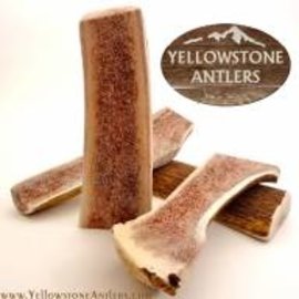 Yellowstone Antlers Antler Yellowstone MD Split 28.99