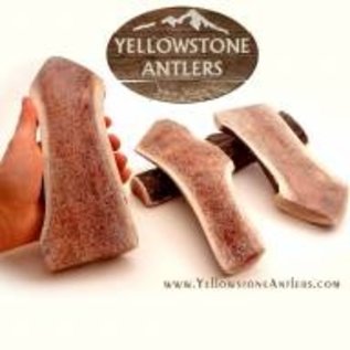 Yellowstone Antlers Antler Yellowstone LG Split 46.99