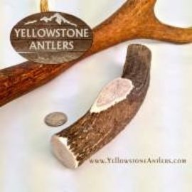 Yellowstone Antlers Antler Yellowstone LG  44.99