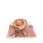 Primal Primal Dog Frozen Raw Marrow Bone Beef MD