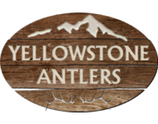 Yellowstone Antlers