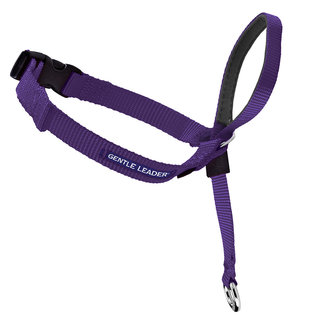 PetSafe PetSafe Dog Gentle Leader Purple MD