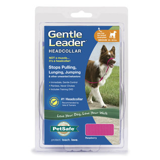 PetSafe PetSafe Dog Gentle Leader Raspberry MD