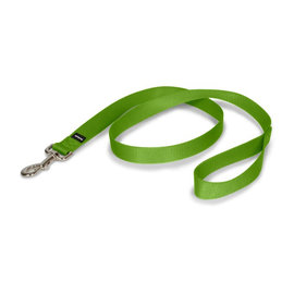 PetSafe PetSafe Dog Leash Green Apple 1" 6'