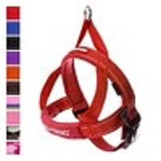 EzyDog EzyDog Quick Fit Harness Red LG