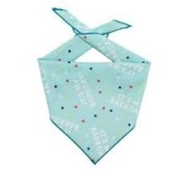 Paisley Paw Design Paisley Paw Designs Barkday Blue Bandana LG