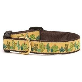 Up Country Up Country Dog Collar Succulents MD