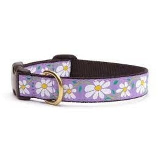 Up Country Up Country Dog Collar Daisy MD