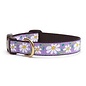 Up Country Up Country Dog Collar Daisy MD