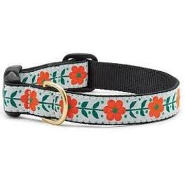 Up Country Up Country Dog Collar Orange You Pretty LG