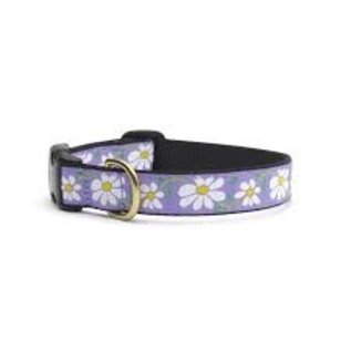 Up Country Up Country Dog Collar Narrow Daisy SM