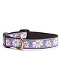 Up Country Up Country Dog Collar Daisy Size 10