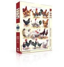 Poules - Poultry 500pc New York Puzzle Company Jigsaw Puzzle