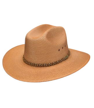 Charlie 1 Horse Blue Roan Straw Hat 