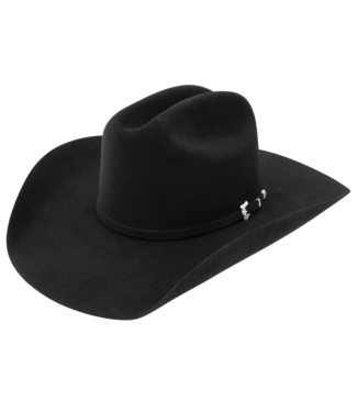 Stetson & Resistol Hats Black Gold 20X Hat