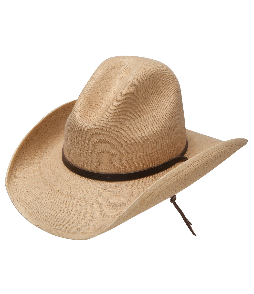 Stetson Bryce Palm Hat - Dixie's