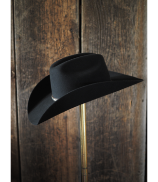 Stetson & Resistol Hats Amarillo Sky 4X Felt Hat
