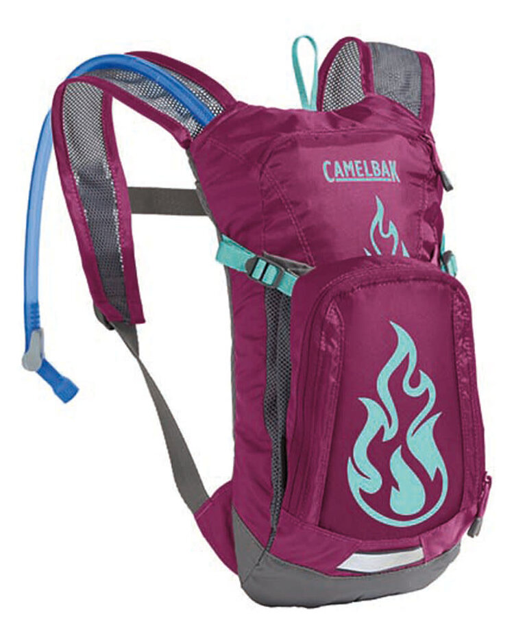 CAMELBAK CAMELBAK MINI M.U.L.E. 50OZ
