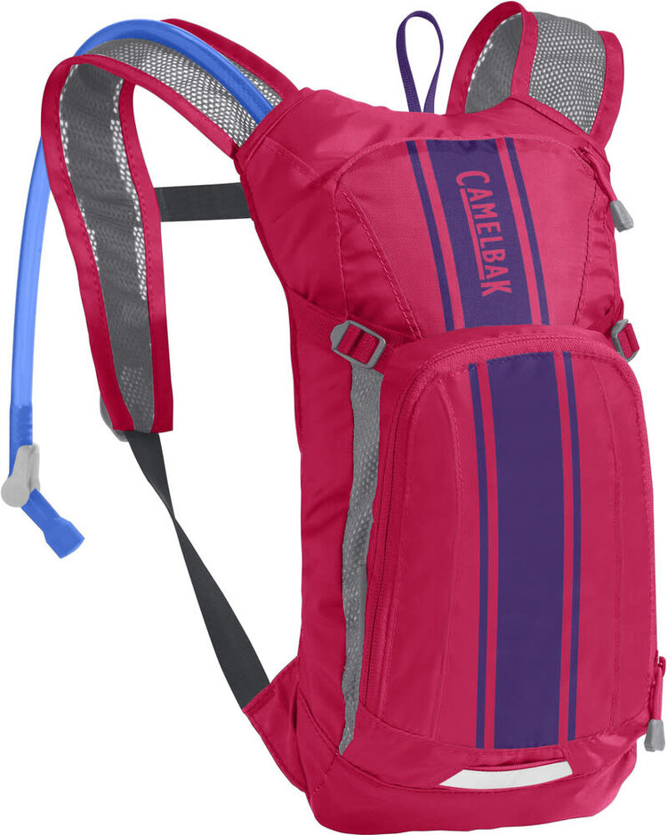 CAMELBAK CAMELBAK MINI M.U.L.E. 50OZ