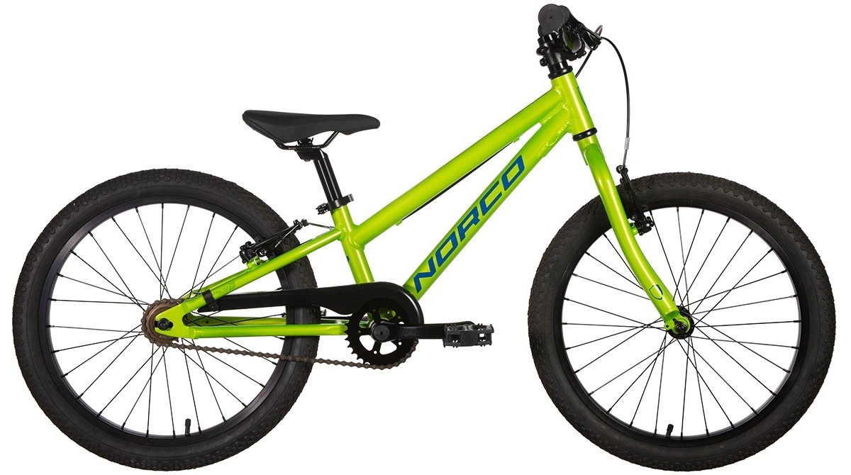 20 inch bike green sale